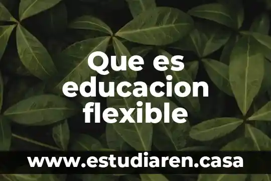 Que es educacion afectiva sexual 4 Que es educacion flexible