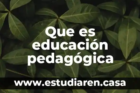 Que es educacion afectiva sexual 3 Que es educación pedagógica