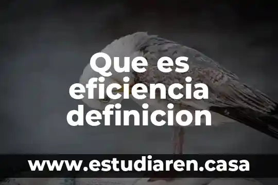 Que es eficiencia definicion
