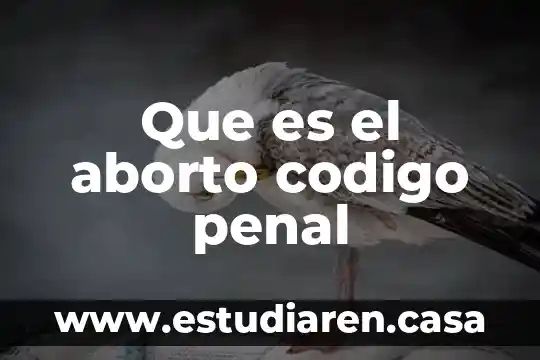 Que es el codigo g00 3 Que es el aborto codigo penal