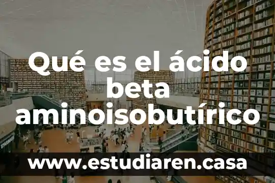 Que es una relacion lineal proporcional 8 Qué es el ácido beta aminoisobutírico