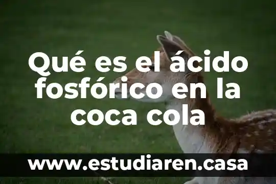 Qué es el ácido fosfórico en la coca cola