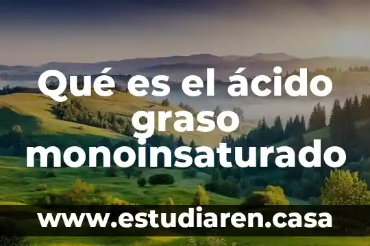Qué es el ácido graso monoinsaturado