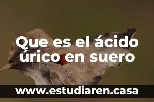 Que es la caja archivadora 8 Que es el ácido úrico en suero