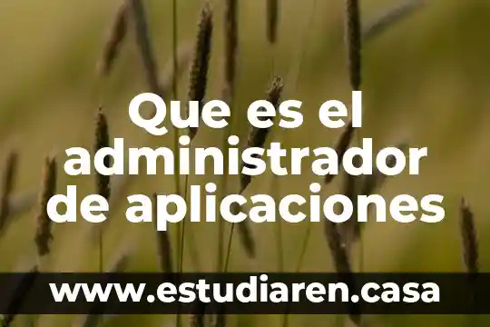 Que es el administrador de aplicaciones