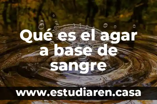 Qué es el agar a base de sangre