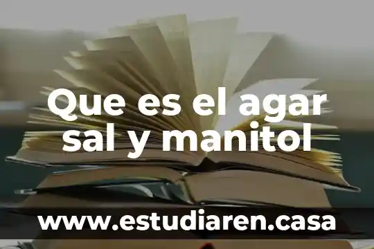 Para que es el agia con sal en perforaciones 3 Que es el agar sal y manitol