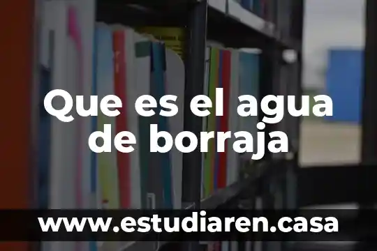 Que es el agua de borraja