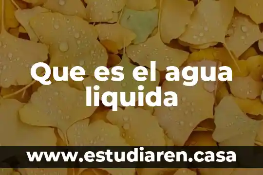 Que es el agua liquida