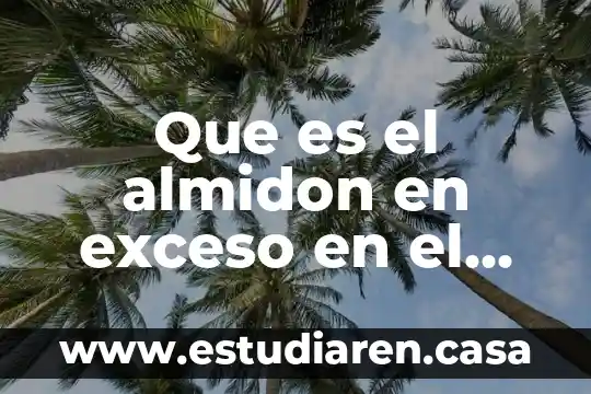 Almidón por qué es orgánico 3 Que es el almidon en exceso en el cuerpo humano