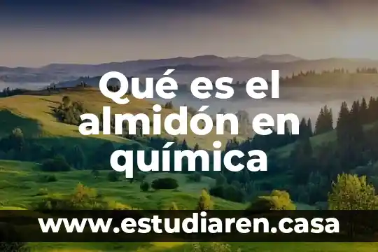 Almidón por qué es orgánico 4 Qué es el almidón en química
