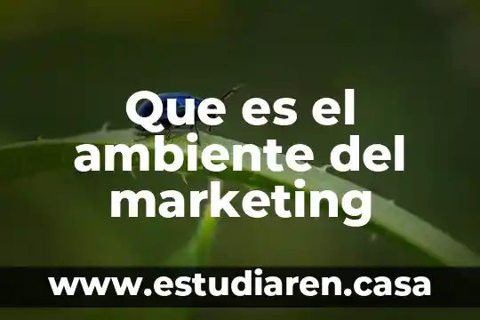 Que es el ambiente fisico de un cuento latinoamericano 7 Que es el ambiente del marketing