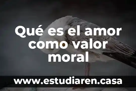 Qué es el amor como valor moral