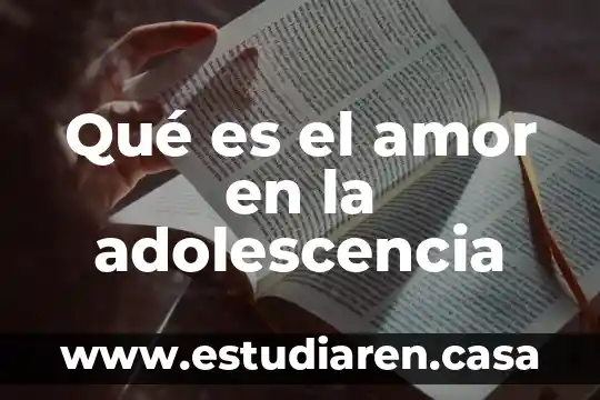 Que es un pedimento y para que sirve 5 Qué es el amor en la adolescencia