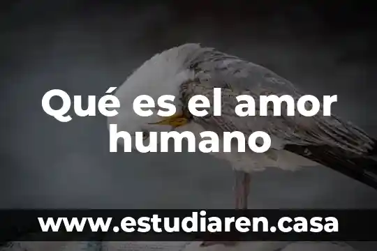 Que es sobredosis de amor 4 Qué es el amor humano