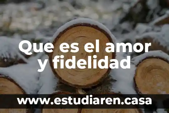 Qué es la locura por amor 4 Que es el amor y fidelidad