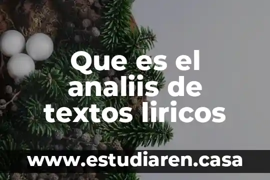 Que es el analiis de textos liricos