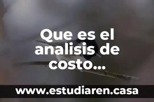 Que es un analisis metaurgico 8 Que es el analisis de costo estrategico