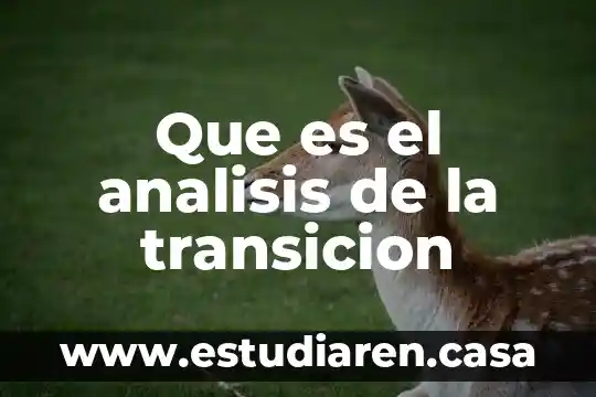 Que es el analisis de la transicion