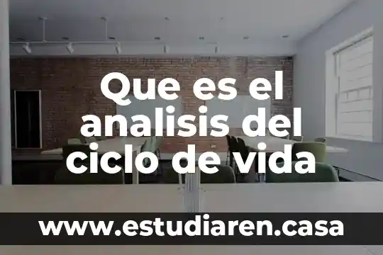 Que es primero la idea o el analisis de negocio 5 Que es el analisis del ciclo de vida