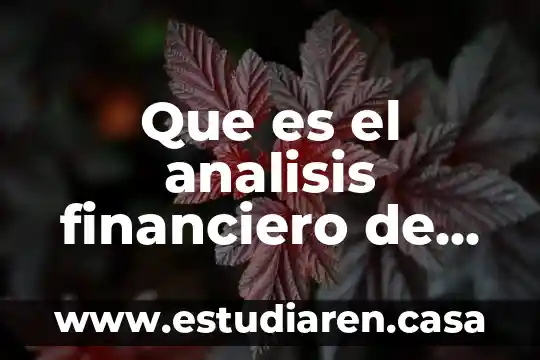 Que es el analisis financiero de una empresa ejemplo