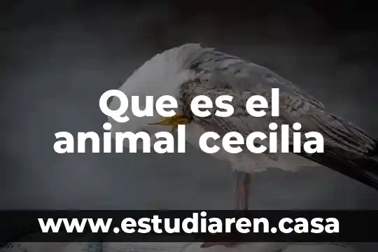 Que es el animal cecilia