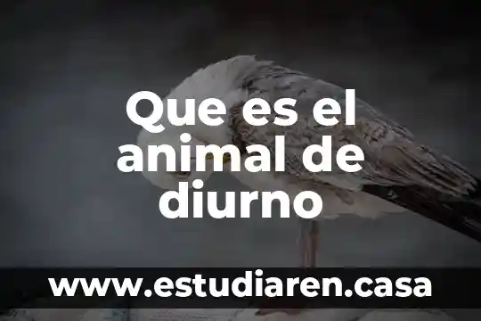 Que es el animal de diurno