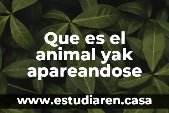 Que es el animal yak apareandose