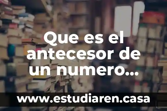 Que es el antecesor de un numero natural