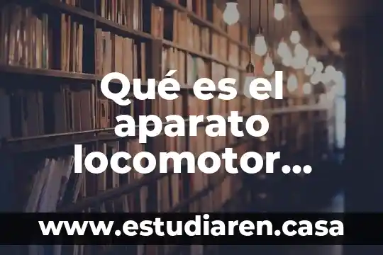 Qué es el aparato locomotor humano