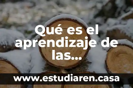 Qué es el aprendizaje de las capacidades físicas