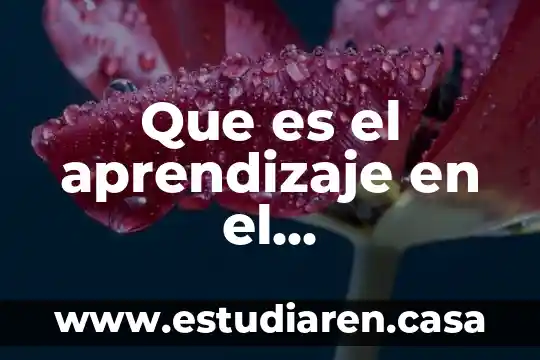 Que es el aprendizaje para la gestalt 5 Que es el aprendizaje en el neoconductismo