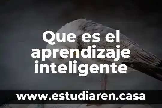 Que es el aprendizaje inteligente