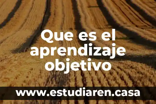 Que es el aprendizaje para la gestalt 4 Que es el aprendizaje objetivo