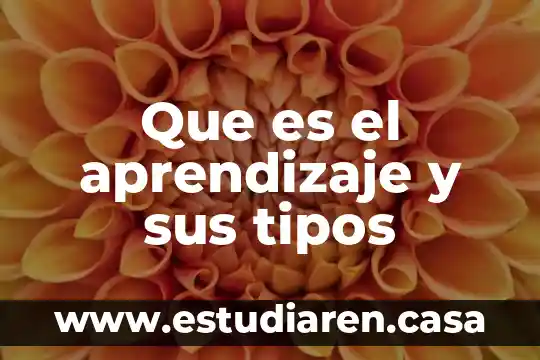 Que es el aprendizaje y sus tipos