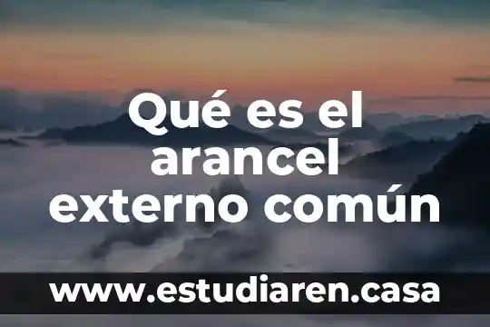 Que es un proyecto interno y externo 4 Qué es el arancel externo común