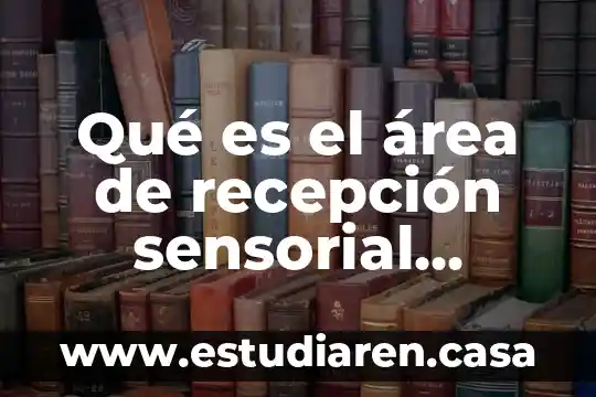 Que es una clave primaria compuesta sql 4 Qué es el área de recepción sensorial primaria
