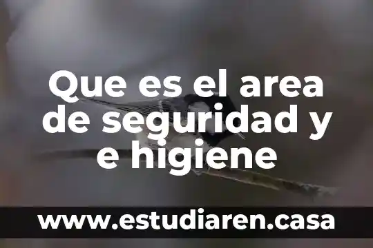 Que es la seguridad e higiene en el trabajo frigorifico 5 Que es el area de seguridad y e higiene