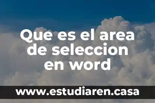 Que es la seleccion del objeto 3 Que es el area de seleccion en word
