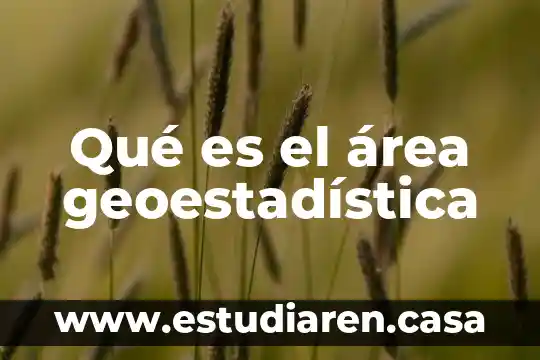 Que es area de choque en urgencias 3 Qué es el área geoestadística