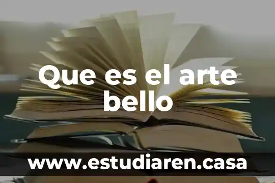 Reportajes acerca de lo bello que es México 3 Que es el arte bello