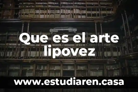 Que es el arte lipovez