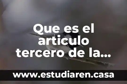 Que es el articulo tercero de la constitucion politica