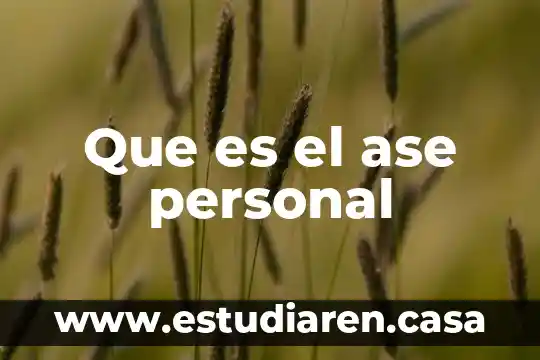 Que es lo k ase un seguridad privada 7 Que es el ase personal
