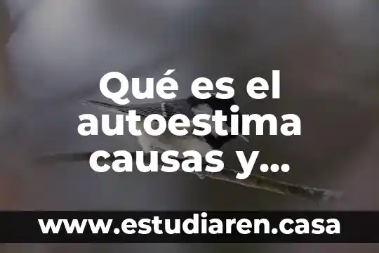 Qué es el autoestima causas y consecuencias