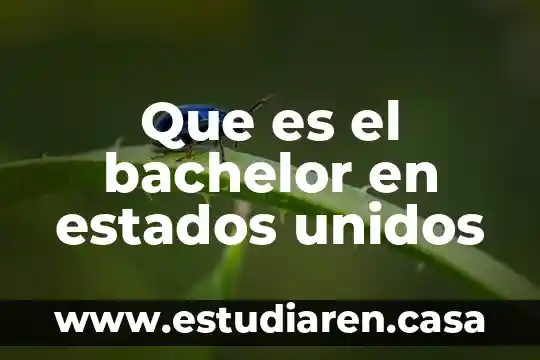 Que es un mall en estados unidos 5 Que es el bachelor en estados unidos