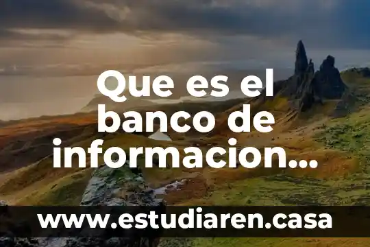Que es datos de informacion pd 4 Que es el banco de informacion economica