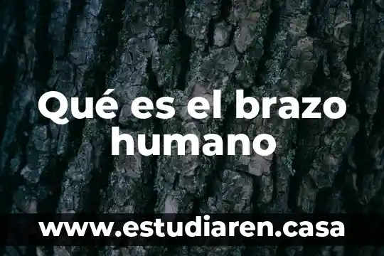 Qué es el brazo humano