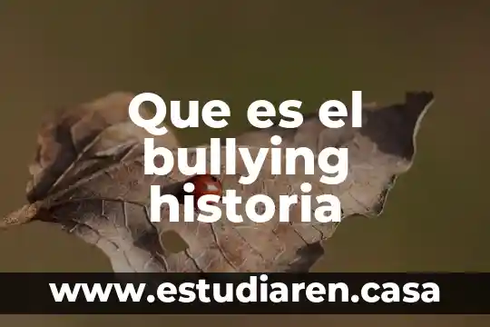 Que es el bullying historia