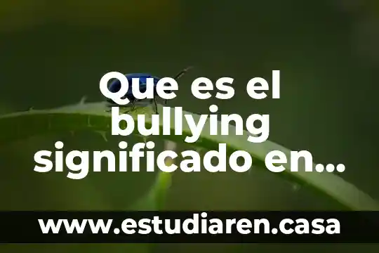 Que es el bullying escolar y fisico y sus consecuensias 3 Que es el bullying significado en ingles
